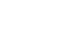 Logo Torre Bertona